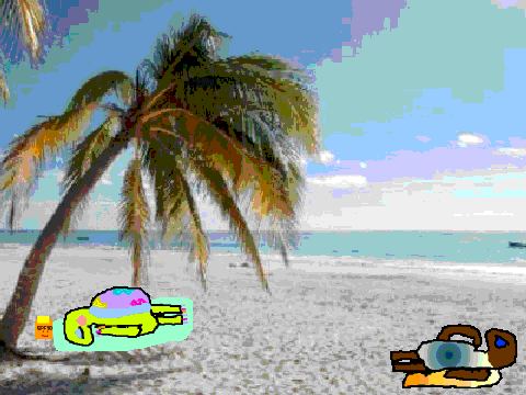 add your tortise to the beach