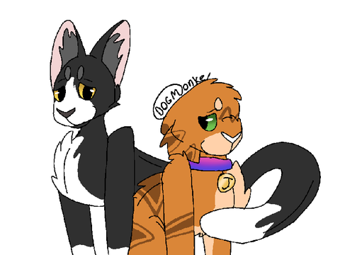 Gaytail and Panke