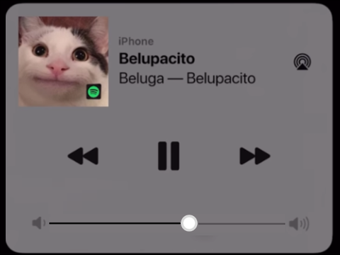Belupacito