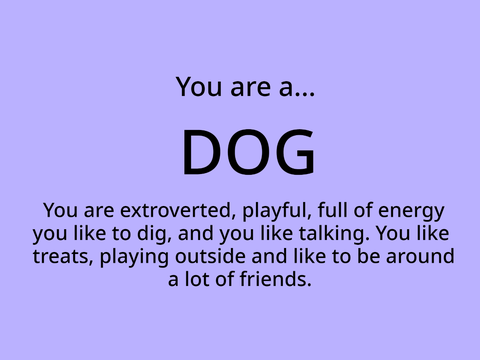 Are you a cat or dog? Personality test!