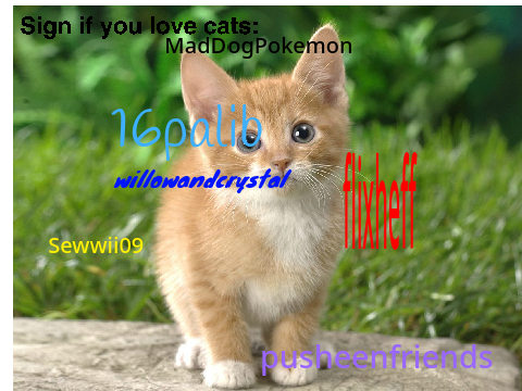 Sign if you love cats remix remix remix remix remix remix