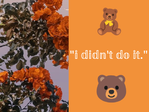 ❀ "i didn't do it." ❀