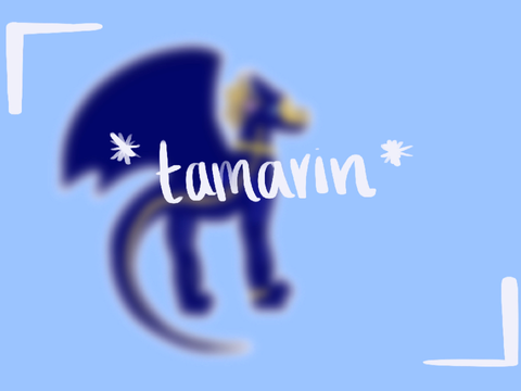 My Tamarin Drawing