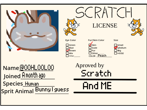 OOHLOOLOO's Scratch Certificate 
