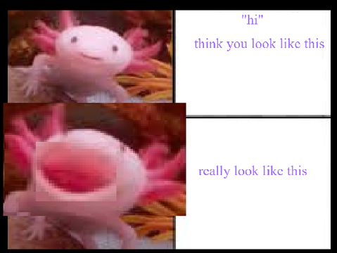 Axolotl Meme Template remix
