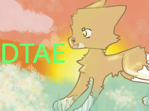 ||DTAE||