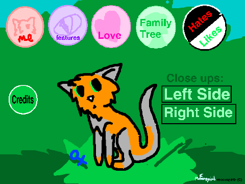 Warrior Cat Bio: MMowssCat