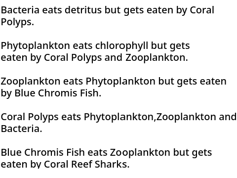 My Food Web Model