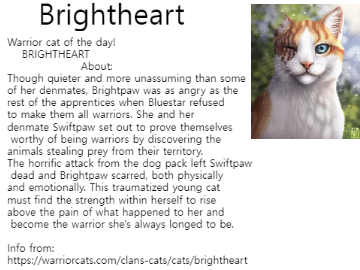 Warrior Cat Of The Day 2