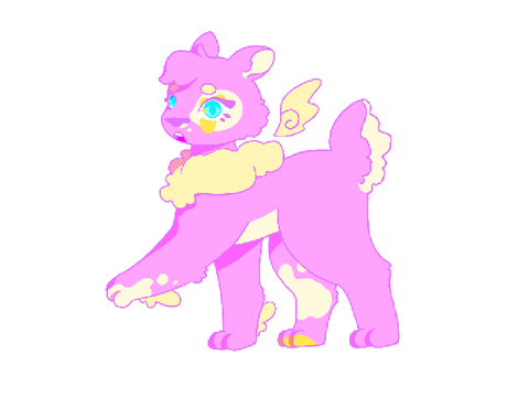 Cotton Candy Dt 