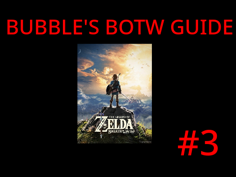Bubble's BOTW Guide: #3