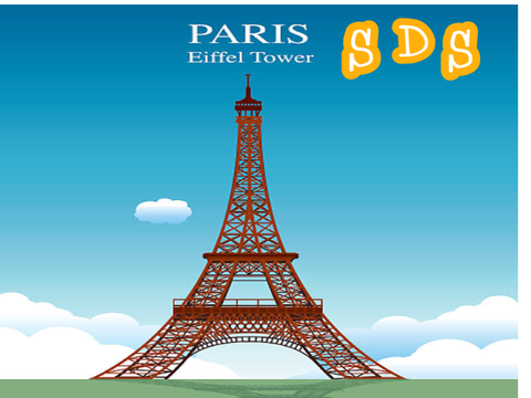  Paris Eiffel Tower #SDS 