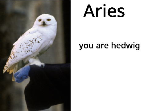 zodiac sign Harry Potter