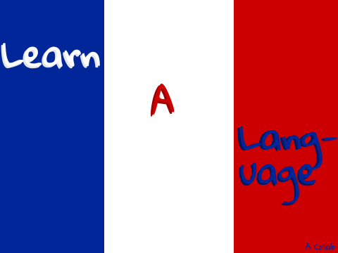 French words and pronunciations