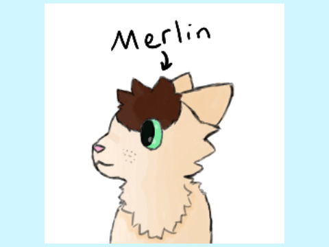 -Art I drew of myself-