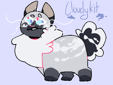 ♡ .cloudykit application. ♡ 