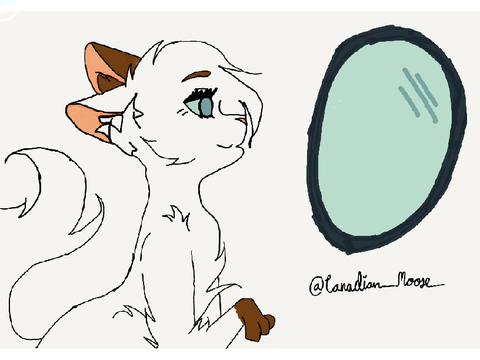 ~☯ Confident CCE ☯~ {Open} 