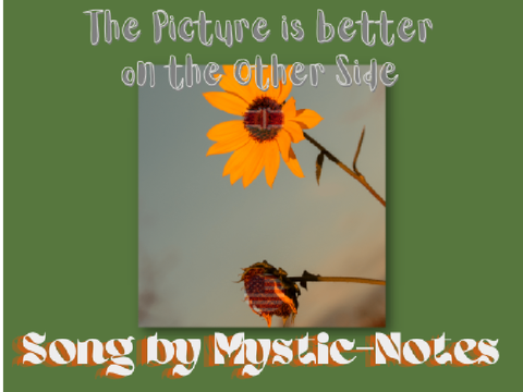Picture is Better on the Other Side - Mystic-Notes