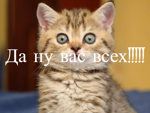 ДА НУ ВАС ВСЕХ