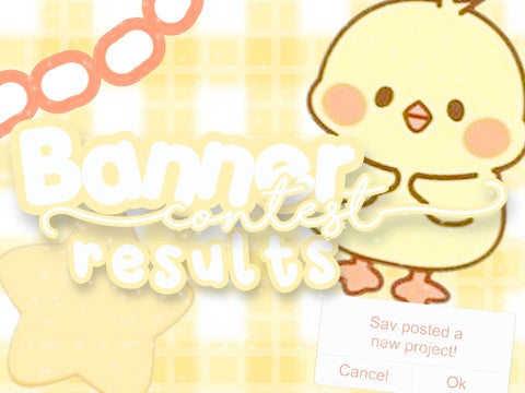 50+ Banner contest results