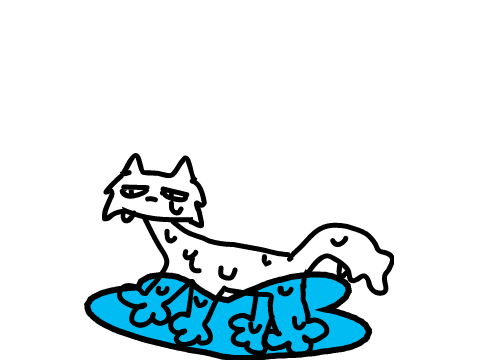 stupid little idiot cat gets splashed