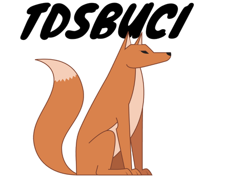 Code Guesser