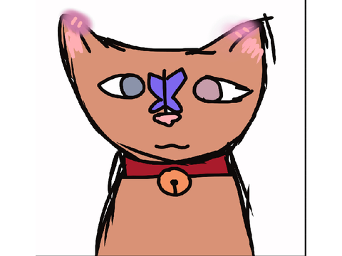 Kittypet || warriors || art