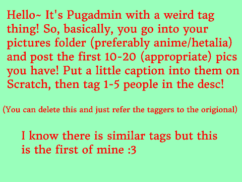 ~Pictures Tag~