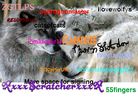 Sign To Stop Wolf Hunting: remix remix remix!!!! :) remix remix remix remix remix remix remix… remix