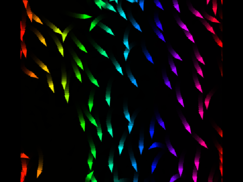 Boids Screensaver