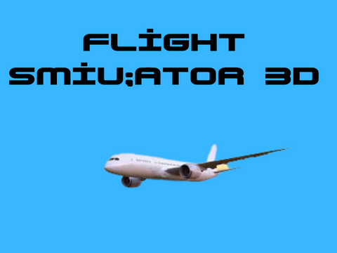 Flight Simulator 3D (totally not a lie)