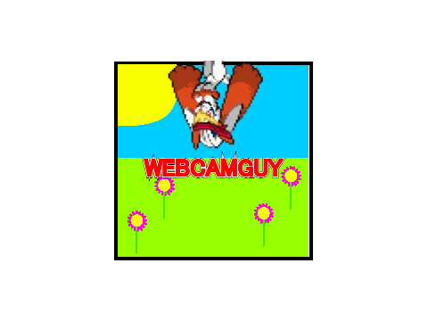 pfp for @webcamguy