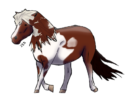 Horse Commission for @Horse_Queen_12