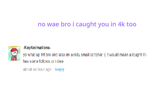 wait what