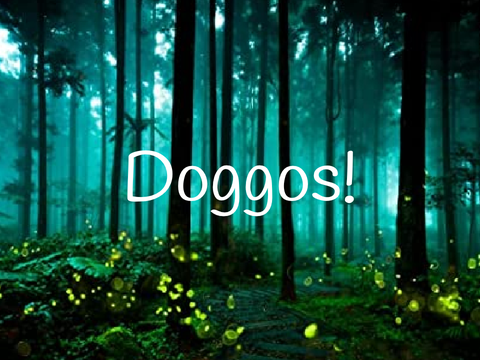 Doggos