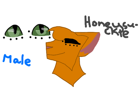 Honeysuckle- New REF sheet