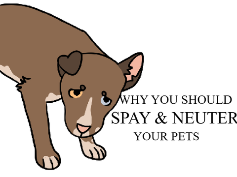 Spay & Neuter Your Pets