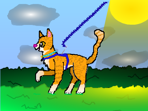 Cat CCE