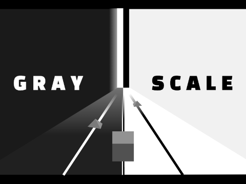 GRAY SCALE