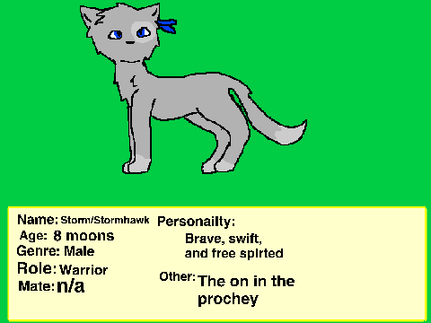 StormClan Auditions