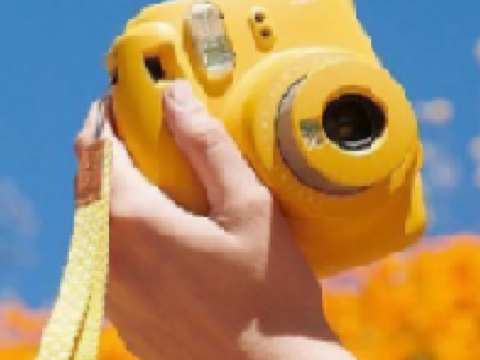 ✿