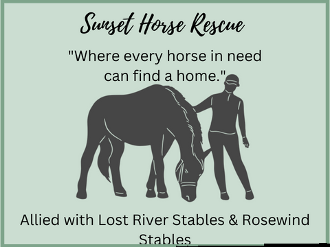 Sunset Horse Rescue Barn 