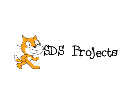 Custom Block SDS Game
