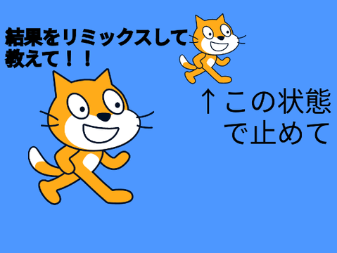 動くネコを止めた！