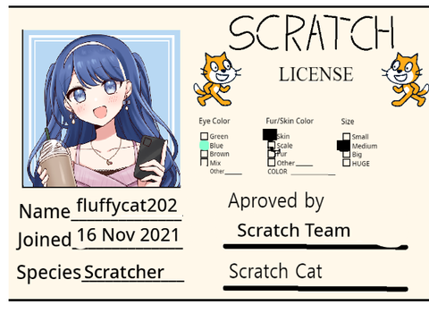 My Scratch license 