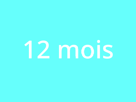 12 mois