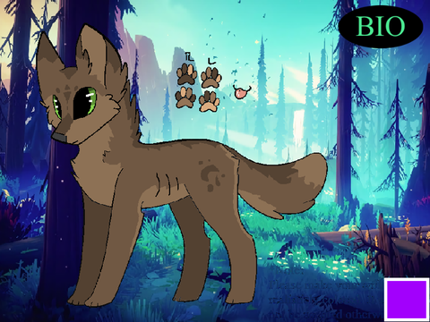 Sign-up sheet - Wolves of Dusk Valley: Pine