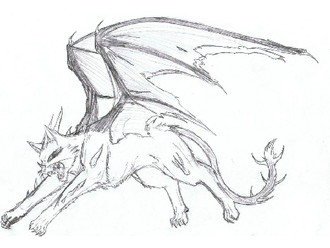 Dragon Cat