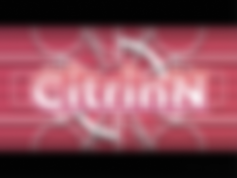 Multistyle Intro / CitrinN [ GIT r2 + BDAY! ]