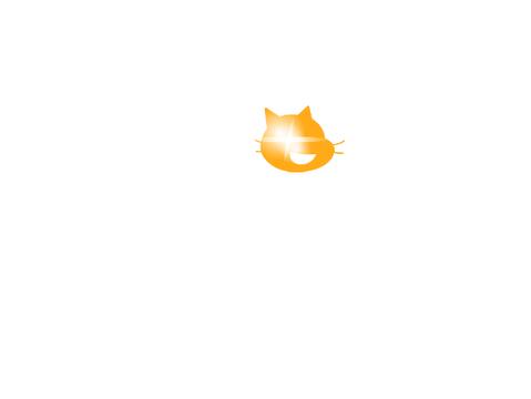 side project
